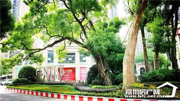 四川翡翠博览园,乐山旅游翡翠价格-第7张图片-翡翠网 四川翡翠博览园,乐山旅游翡翠价格-第7张图片-翡翠网