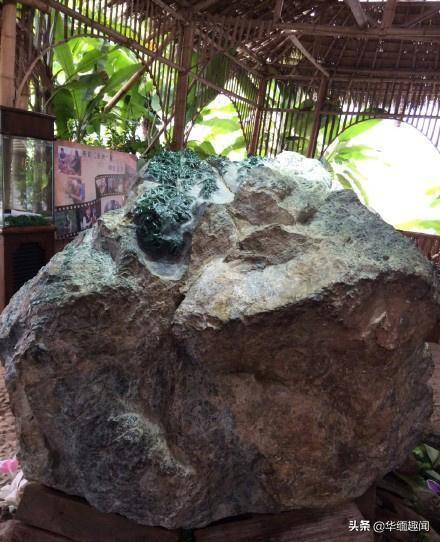 破天一剑翡翠原石,翡翠的原石在哪里-第7张图片-翡翠网 破天一剑翡翠原石,翡翠的原石在哪里-第7张图片-翡翠网