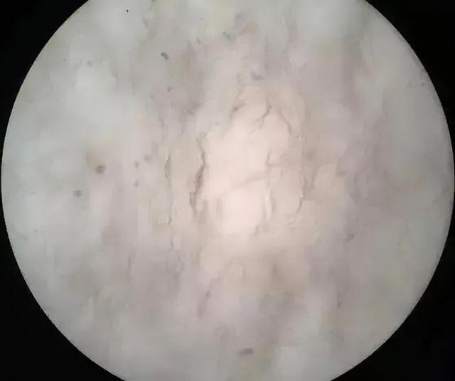 100种翡翠的知识了解翡翠这样的知识-第10张图片-翡翠网 100种翡翠的知识了解翡翠这样的知识-第10张图片-翡翠网