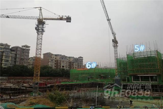 广汉市东泰翡翠郡价格,东泰翡翠郡最新房价-第6张图片-翡翠网 广汉市东泰翡翠郡价格,东泰翡翠郡最新房价-第6张图片-翡翠网