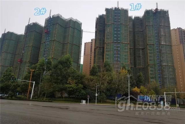 广汉市东泰翡翠郡价格,东泰翡翠郡最新房价-第17张图片-翡翠网 广汉市东泰翡翠郡价格,东泰翡翠郡最新房价-第17张图片-翡翠网