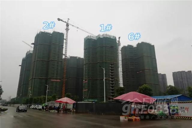 广汉市东泰翡翠郡价格,东泰翡翠郡最新房价-第24张图片-翡翠网 广汉市东泰翡翠郡价格,东泰翡翠郡最新房价-第24张图片-翡翠网