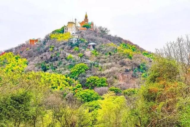 翡翠苏酒妙尚价格,江苏双沟酿酒厂-第1张图片-翡翠网 翡翠苏酒妙尚价格,江苏双沟酿酒厂-第1张图片-翡翠网