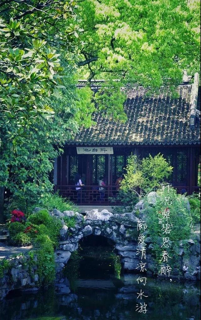 翡翠苏酒妙尚价格,江苏双沟酿酒厂-第6张图片-翡翠网 翡翠苏酒妙尚价格,江苏双沟酿酒厂-第6张图片-翡翠网