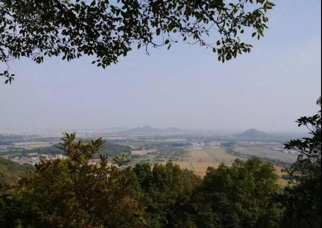 翡翠苏酒妙尚价格,江苏双沟酿酒厂-第8张图片-翡翠网 翡翠苏酒妙尚价格,江苏双沟酿酒厂-第8张图片-翡翠网