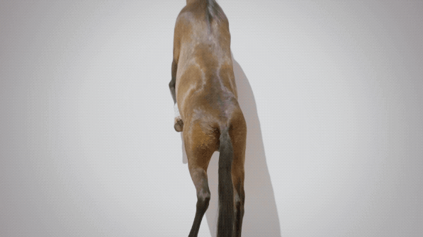 频繁访问某人抖音他知道吗2021抖音能看访客记录吗-第2张图片-翡翠网 频繁访问某人抖音他知道吗2021抖音能看访客记录吗-第2张图片-翡翠网