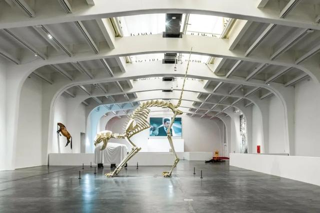 频繁访问某人抖音他知道吗2021抖音能看访客记录吗-第12张图片-翡翠网 频繁访问某人抖音他知道吗2021抖音能看访客记录吗-第12张图片-翡翠网