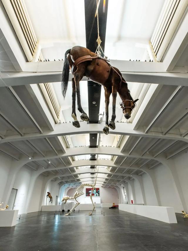 频繁访问某人抖音他知道吗2021抖音能看访客记录吗-第23张图片-翡翠网 频繁访问某人抖音他知道吗2021抖音能看访客记录吗-第23张图片-翡翠网