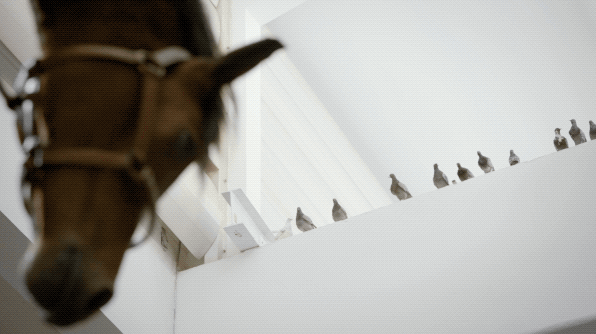 频繁访问某人抖音他知道吗2021抖音能看访客记录吗-第35张图片-翡翠网 频繁访问某人抖音他知道吗2021抖音能看访客记录吗-第35张图片-翡翠网