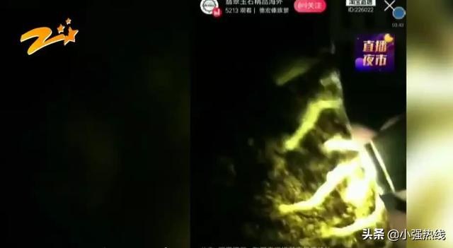 青岛小强逛世园青岛小强翡翠知识-第3张图片-翡翠网