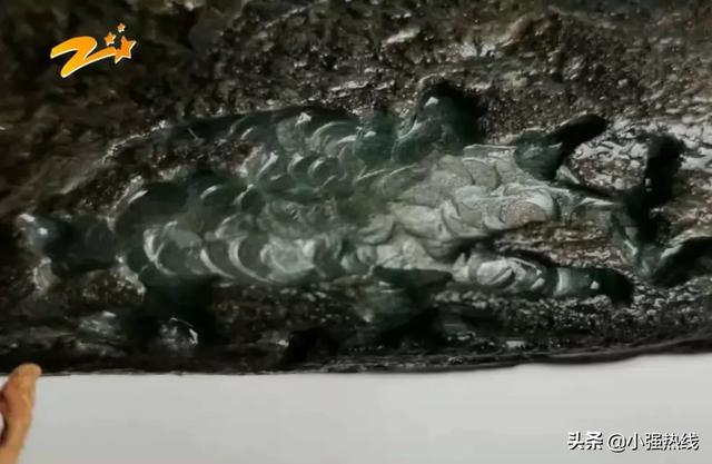 青岛小强逛世园青岛小强翡翠知识-第4张图片-翡翠网