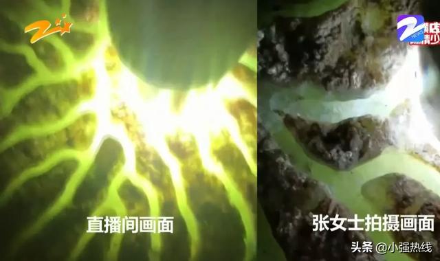 青岛小强逛世园青岛小强翡翠知识-第5张图片-翡翠网