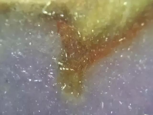 翡翠原石是什么样的坑,新坑翡翠原石-第17张图片-翡翠网 翡翠原石是什么样的坑,新坑翡翠原石-第17张图片-翡翠网