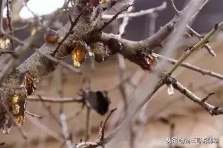 玉镯加工过程视频带红翡翠手镯视频-第14张图片-翡翠网 玉镯加工过程视频带红翡翠手镯视频-第14张图片-翡翠网