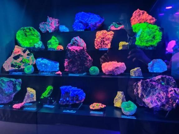 在新青年上发表,滕翡翠知识新青年编辑部-第3张图片-翡翠网