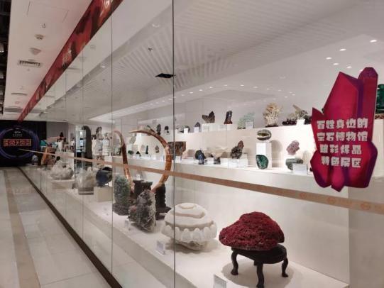 在新青年上发表,滕翡翠知识新青年编辑部-第5张图片-翡翠网