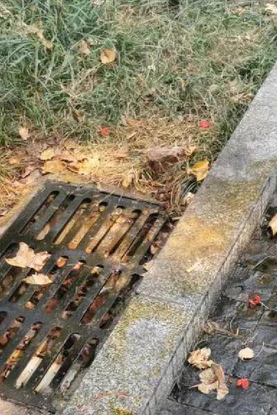 富二代最新网址,富二代f2抖音app污短视频-第2张图片-翡翠网 富二代最新网址,富二代f2抖音app污短视频-第2张图片-翡翠网