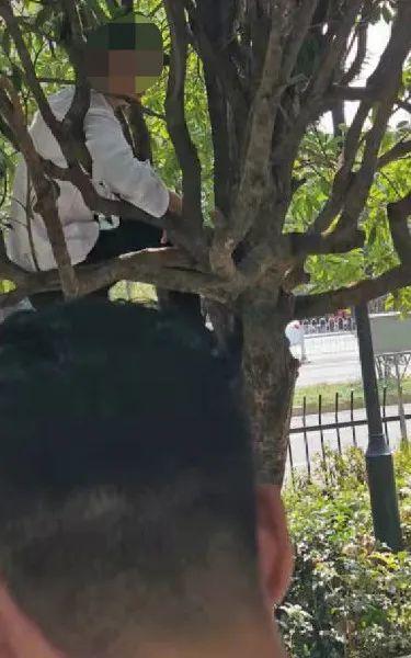 富二代最新网址,富二代f2抖音app污短视频-第3张图片-翡翠网 富二代最新网址,富二代f2抖音app污短视频-第3张图片-翡翠网