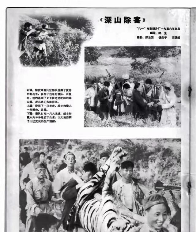 常宁翡翠矿场原石,翡翠的原石在哪里-第14张图片-翡翠网 常宁翡翠矿场原石,翡翠的原石在哪里-第14张图片-翡翠网