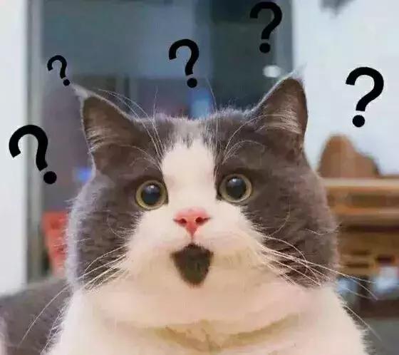 佩戴翡翠观音手镯,冰种翡翠手镯-第2张图片-翡翠网