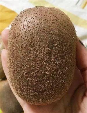 翡翠的原石在哪里翡翠原石老董-第1张图片-翡翠网 翡翠的原石在哪里翡翠原石老董-第1张图片-翡翠网