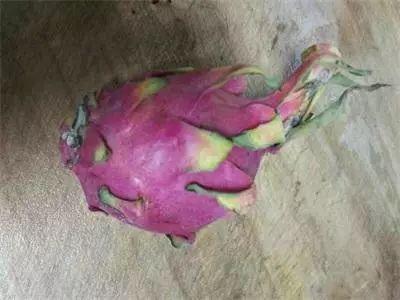 翡翠的原石在哪里翡翠原石老董-第6张图片-翡翠网 翡翠的原石在哪里翡翠原石老董-第6张图片-翡翠网