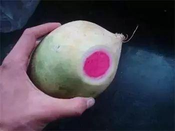 翡翠的原石在哪里翡翠原石老董-第8张图片-翡翠网 翡翠的原石在哪里翡翠原石老董-第8张图片-翡翠网