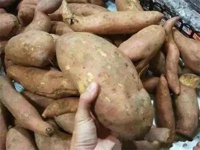 翡翠的原石在哪里翡翠原石老董-第11张图片-翡翠网 翡翠的原石在哪里翡翠原石老董-第11张图片-翡翠网