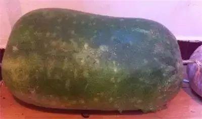 翡翠的原石在哪里翡翠原石老董-第16张图片-翡翠网 翡翠的原石在哪里翡翠原石老董-第16张图片-翡翠网