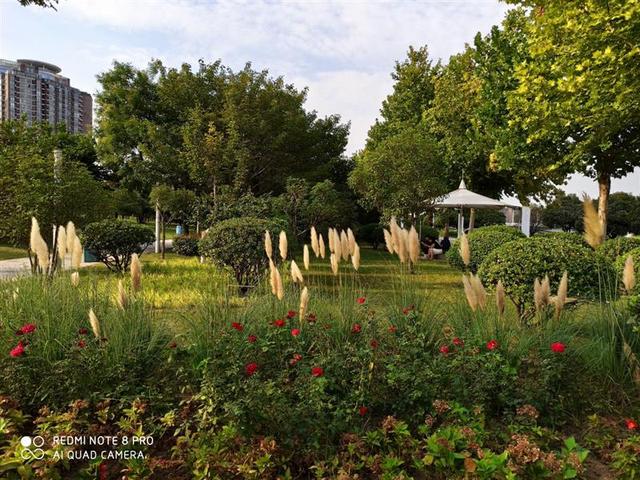 翡翠知识讲解翡翠知识讲座实战mp4-第41张图片-翡翠网 翡翠知识讲解翡翠知识讲座实战mp4-第41张图片-翡翠网