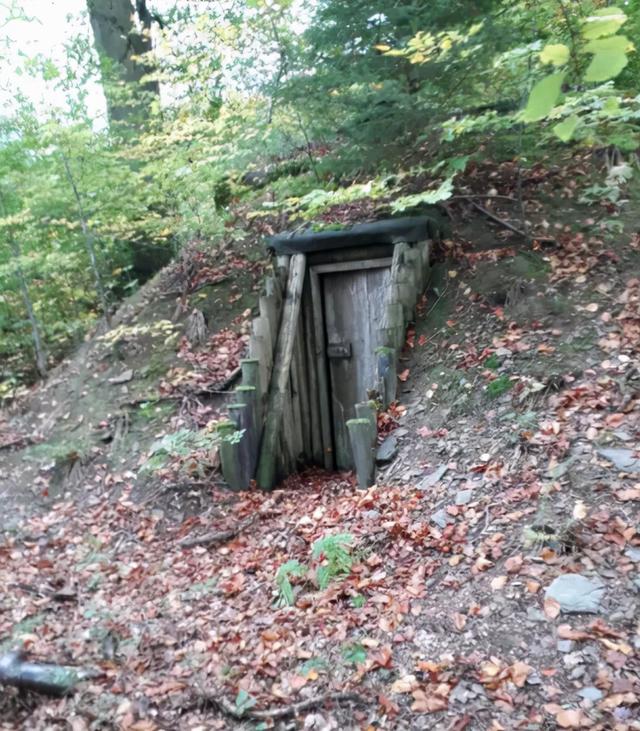 浅水绿翡翠手镯图片飘阳绿翡翠手镯-第1张图片-翡翠网 浅水绿翡翠手镯图片飘阳绿翡翠手镯-第1张图片-翡翠网