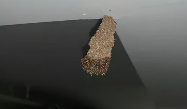 浅水绿翡翠手镯图片飘阳绿翡翠手镯-第2张图片-翡翠网 浅水绿翡翠手镯图片飘阳绿翡翠手镯-第2张图片-翡翠网