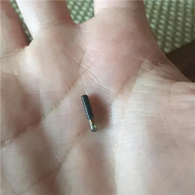 浅水绿翡翠手镯图片飘阳绿翡翠手镯-第11张图片-翡翠网 浅水绿翡翠手镯图片飘阳绿翡翠手镯-第11张图片-翡翠网