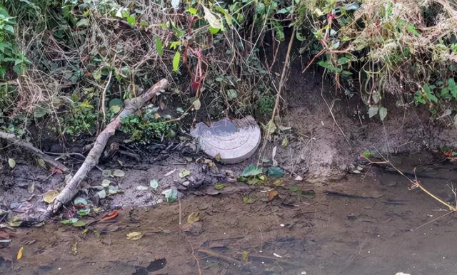 浅水绿翡翠手镯图片飘阳绿翡翠手镯-第20张图片-翡翠网 浅水绿翡翠手镯图片飘阳绿翡翠手镯-第20张图片-翡翠网