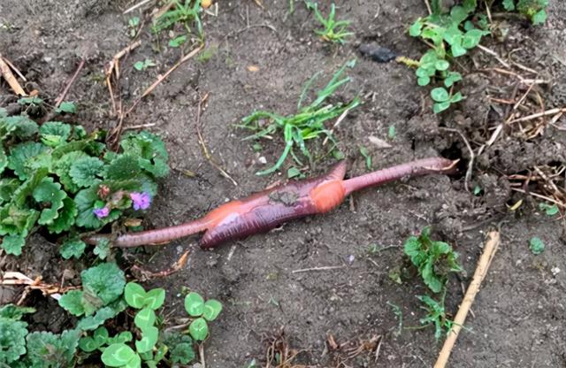 浅水绿翡翠手镯图片飘阳绿翡翠手镯-第23张图片-翡翠网 浅水绿翡翠手镯图片飘阳绿翡翠手镯-第23张图片-翡翠网