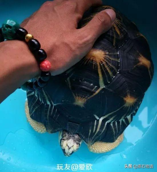 翡翠原石怎么盘包浆,翡翠的包浆是什么-第4张图片-翡翠网 翡翠原石怎么盘包浆,翡翠的包浆是什么-第4张图片-翡翠网