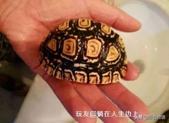 翡翠原石怎么盘包浆,翡翠的包浆是什么-第14张图片-翡翠网 翡翠原石怎么盘包浆,翡翠的包浆是什么-第14张图片-翡翠网