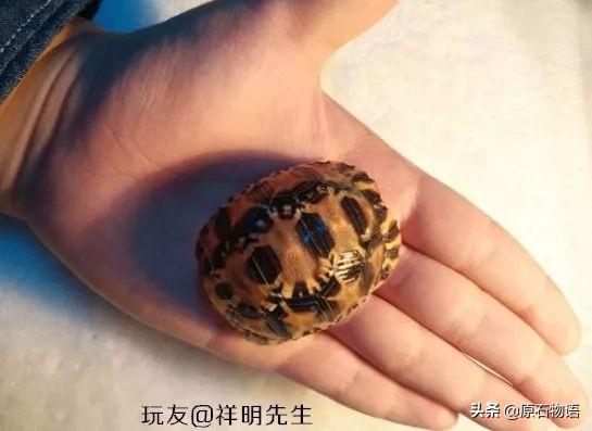 翡翠原石怎么盘包浆,翡翠的包浆是什么-第16张图片-翡翠网 翡翠原石怎么盘包浆,翡翠的包浆是什么-第16张图片-翡翠网