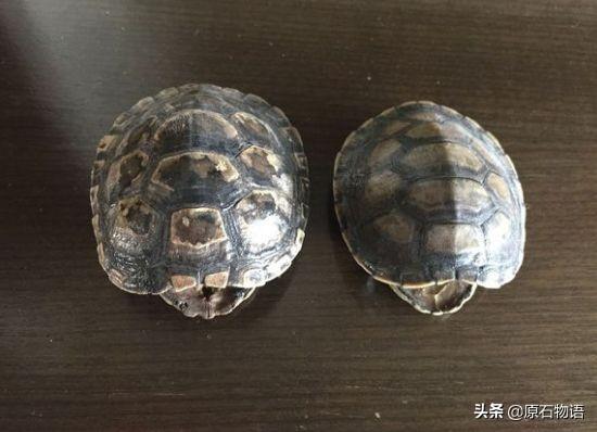 翡翠原石怎么盘包浆,翡翠的包浆是什么-第17张图片-翡翠网 翡翠原石怎么盘包浆,翡翠的包浆是什么-第17张图片-翡翠网