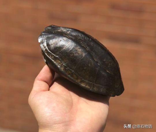 翡翠原石怎么盘包浆,翡翠的包浆是什么-第22张图片-翡翠网 翡翠原石怎么盘包浆,翡翠的包浆是什么-第22张图片-翡翠网