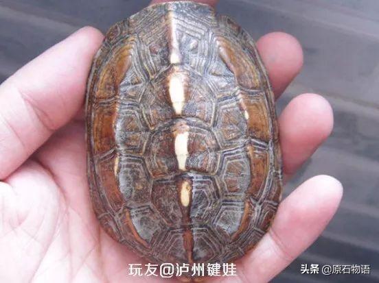 翡翠原石怎么盘包浆,翡翠的包浆是什么-第23张图片-翡翠网 翡翠原石怎么盘包浆,翡翠的包浆是什么-第23张图片-翡翠网