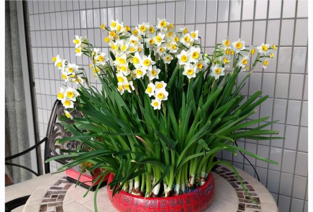 兰花翡翠观音价格,兰花翡翠吊坠-第6张图片-翡翠网 兰花翡翠观音价格,兰花翡翠吊坠-第6张图片-翡翠网