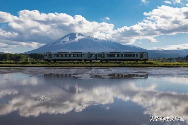 翡翠青龙眼手镯,a货翡翠手镯-第1张图片-翡翠网 翡翠青龙眼手镯,a货翡翠手镯-第1张图片-翡翠网