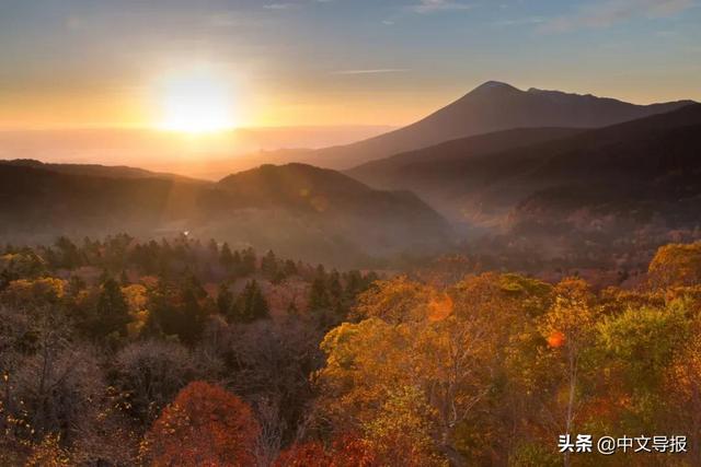 翡翠青龙眼手镯,a货翡翠手镯-第2张图片-翡翠网 翡翠青龙眼手镯,a货翡翠手镯-第2张图片-翡翠网