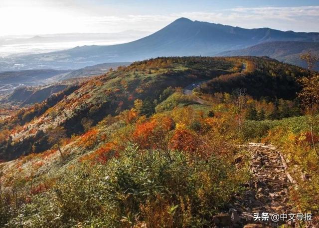 翡翠青龙眼手镯,a货翡翠手镯-第3张图片-翡翠网 翡翠青龙眼手镯,a货翡翠手镯-第3张图片-翡翠网