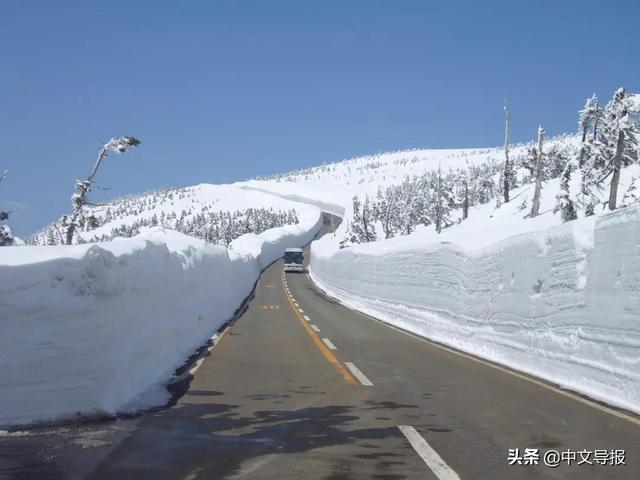 翡翠青龙眼手镯,a货翡翠手镯-第4张图片-翡翠网 翡翠青龙眼手镯,a货翡翠手镯-第4张图片-翡翠网