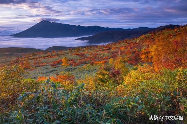 翡翠青龙眼手镯,a货翡翠手镯-第5张图片-翡翠网 翡翠青龙眼手镯,a货翡翠手镯-第5张图片-翡翠网
