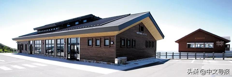 翡翠青龙眼手镯,a货翡翠手镯-第6张图片-翡翠网 翡翠青龙眼手镯,a货翡翠手镯-第6张图片-翡翠网