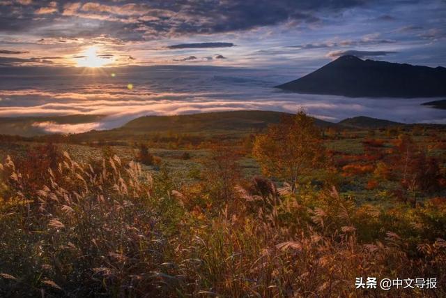 翡翠青龙眼手镯,a货翡翠手镯-第7张图片-翡翠网 翡翠青龙眼手镯,a货翡翠手镯-第7张图片-翡翠网