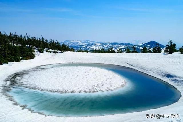 翡翠青龙眼手镯,a货翡翠手镯-第8张图片-翡翠网 翡翠青龙眼手镯,a货翡翠手镯-第8张图片-翡翠网
